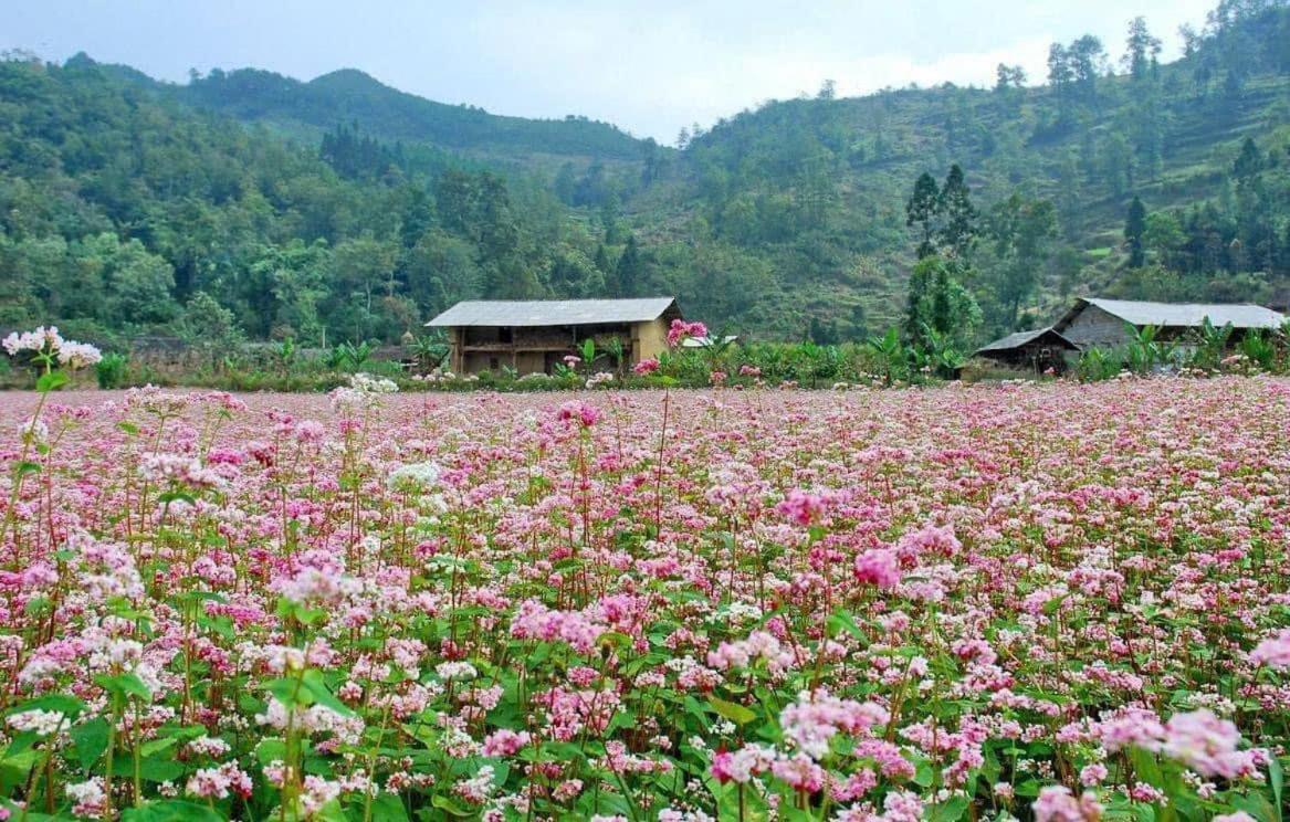 Thuy Anh Hotel ハザン エクステリア 写真